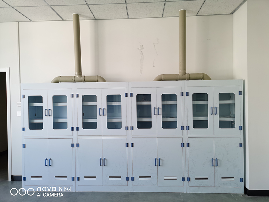 /images/20211223/4761b5bf5303c53708557258f42ee8d4.jpg PP通风试剂、器皿柜.jpg